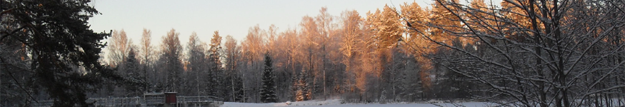An Image Slideshow